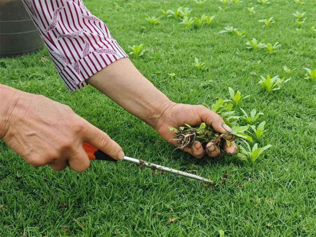 萬豪集團匠心助力，6月齊聚重慶龍興足球場為國足吶喊助威！